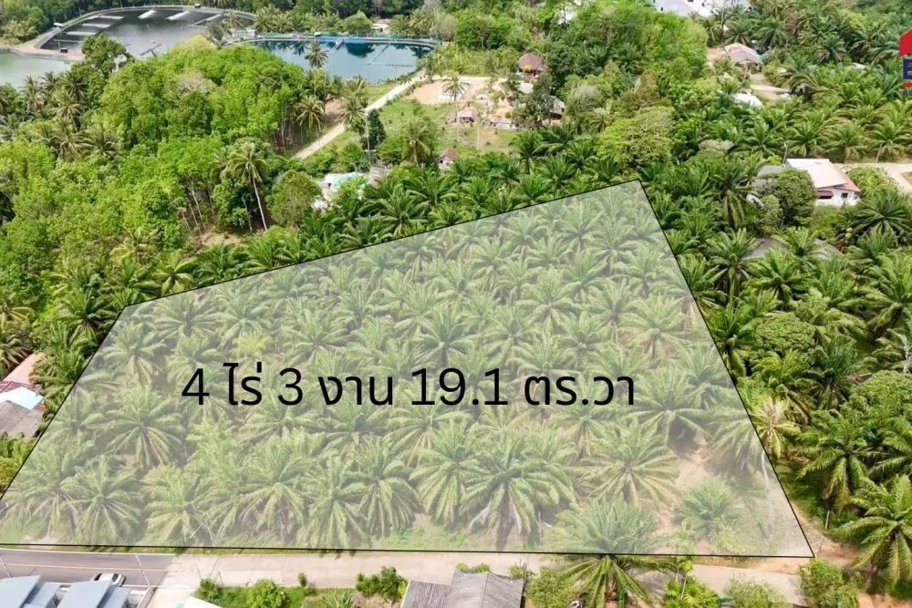 LINE_ALBUM_ที่ดินคลองจิหลาด_250508_6