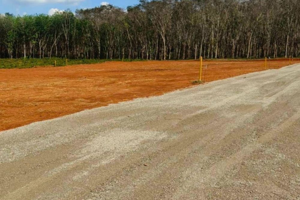 LINE_ALBUM_ที่ดินหนองทะเล พี่เบนซ์_260127_1