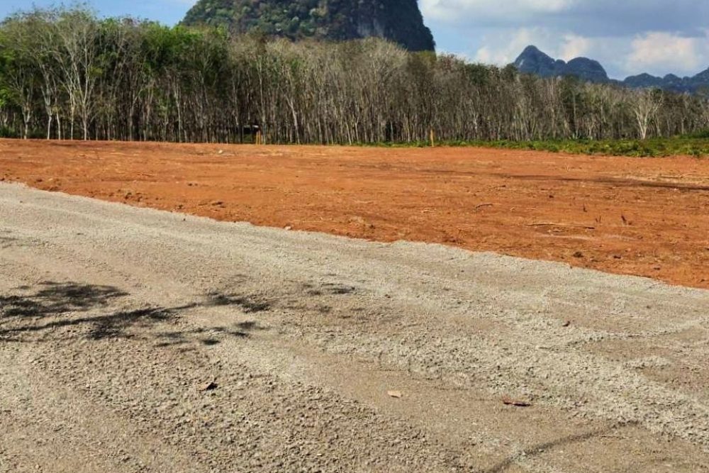 LINE_ALBUM_ที่ดินหนองทะเล พี่เบนซ์_260127_2