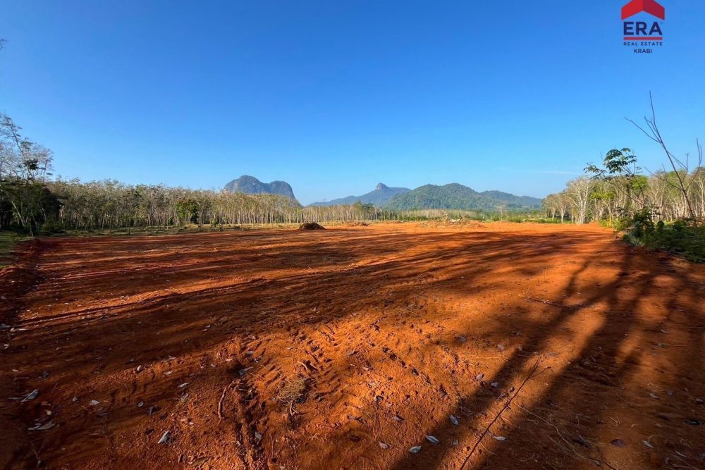 LINE_ALBUM_ที่ดินหนองทะเล พี่เบนซ์_260127_4