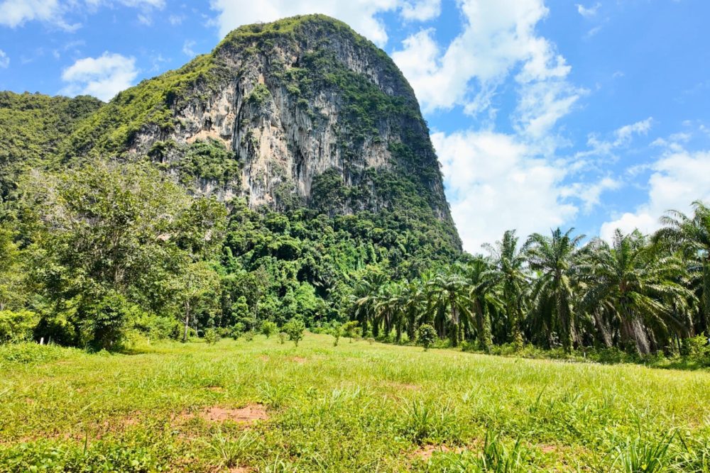 LINE_ALBUM_ที่ดินแดงน้อย_251021_1