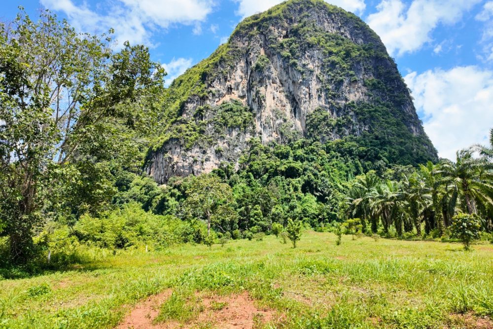 LINE_ALBUM_ที่ดินแดงน้อย_251021_10