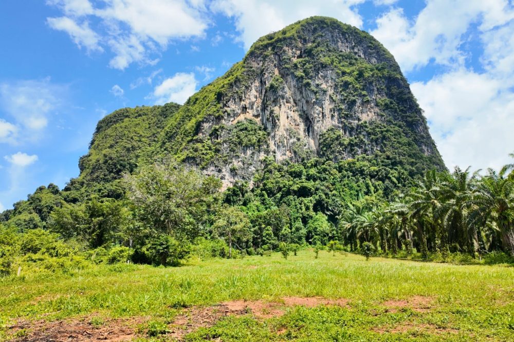 LINE_ALBUM_ที่ดินแดงน้อย_251021_2