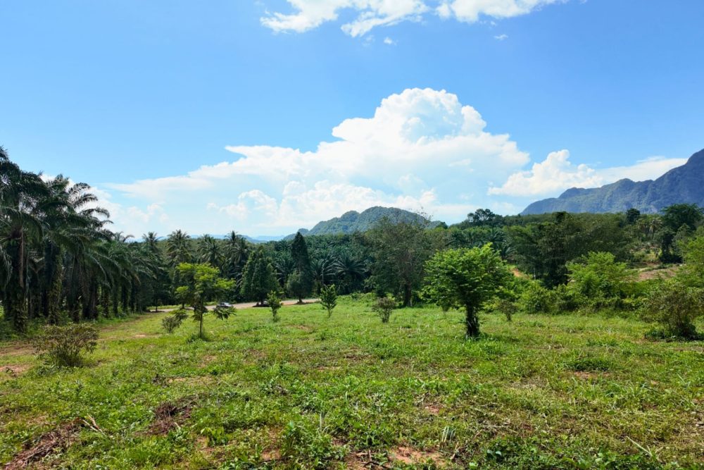 LINE_ALBUM_ที่ดินแดงน้อย_251021_3