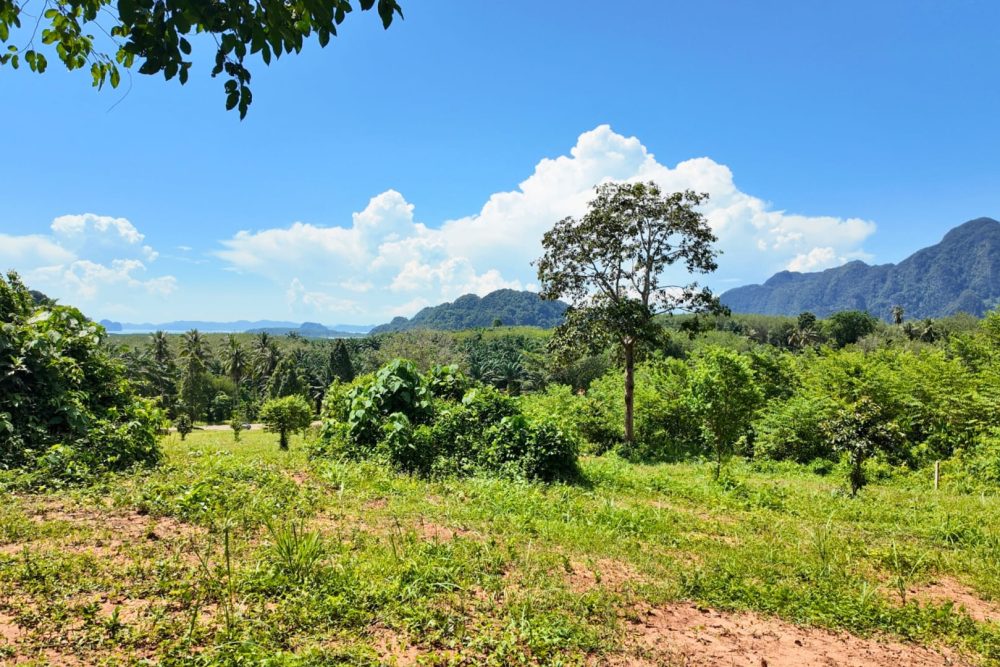 LINE_ALBUM_ที่ดินแดงน้อย_251021_4