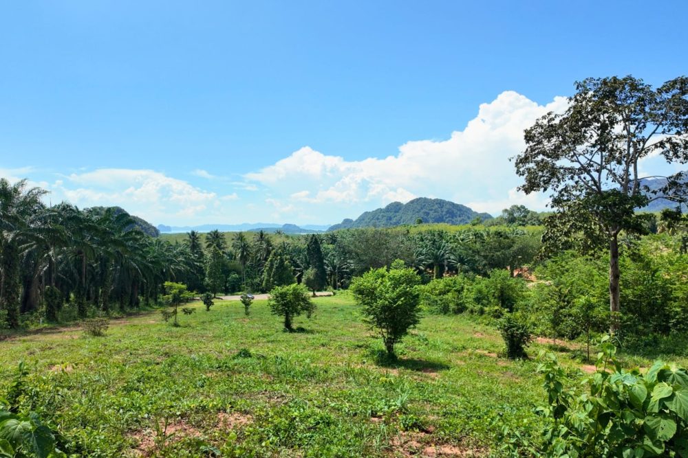 LINE_ALBUM_ที่ดินแดงน้อย_251021_5