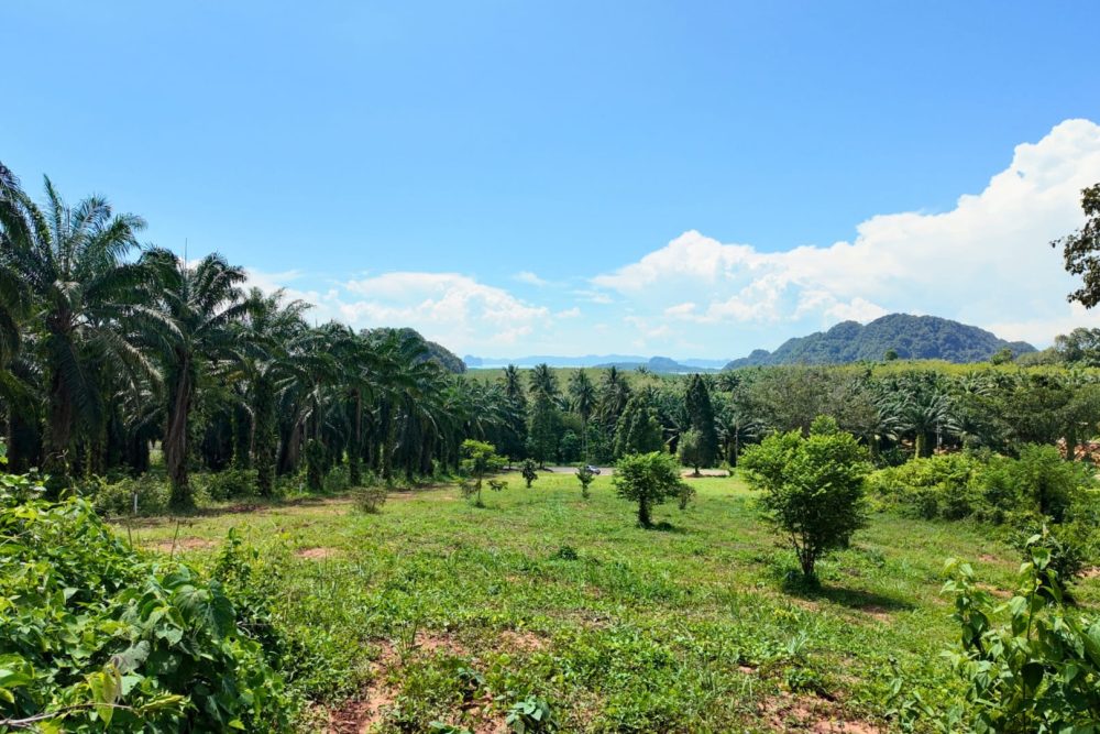 LINE_ALBUM_ที่ดินแดงน้อย_251021_6