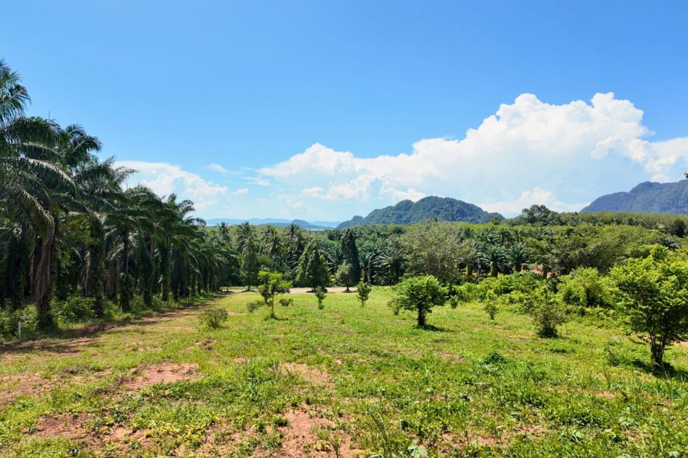 LINE_ALBUM_ที่ดินแดงน้อย_251021_7