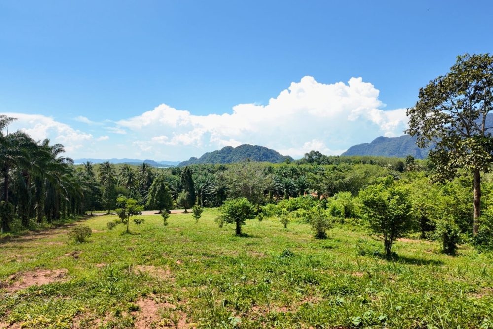 LINE_ALBUM_ที่ดินแดงน้อย_251021_8