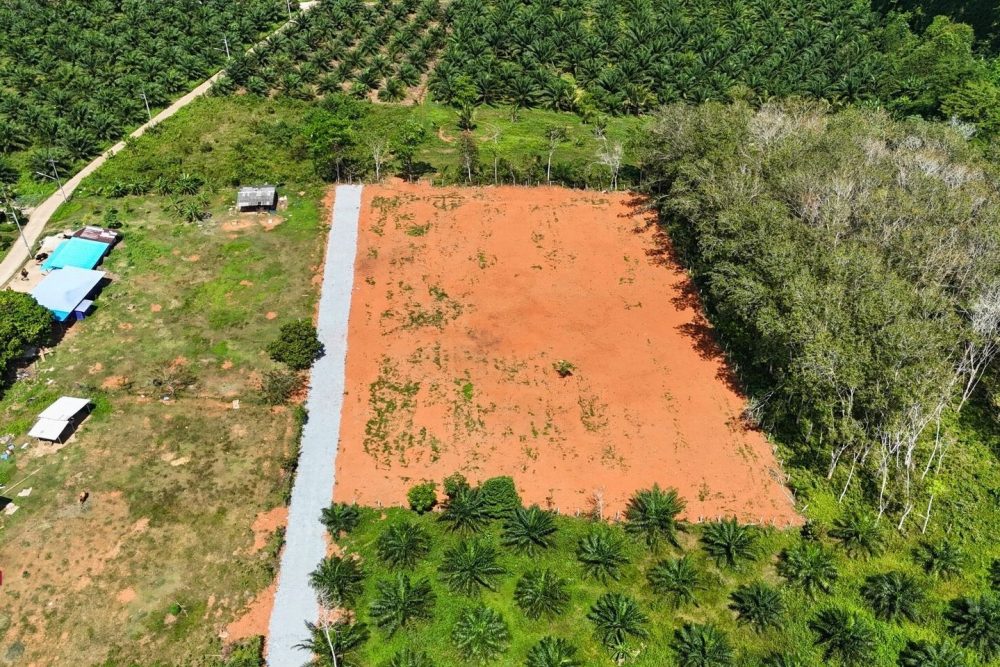 LINE_ALBUM_เขากลม 3 ไร่_260127_10