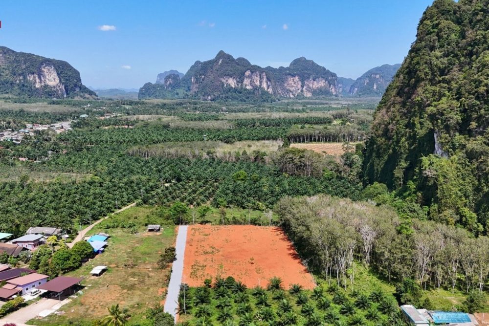 LINE_ALBUM_เขากลม 3 ไร่_260127_12