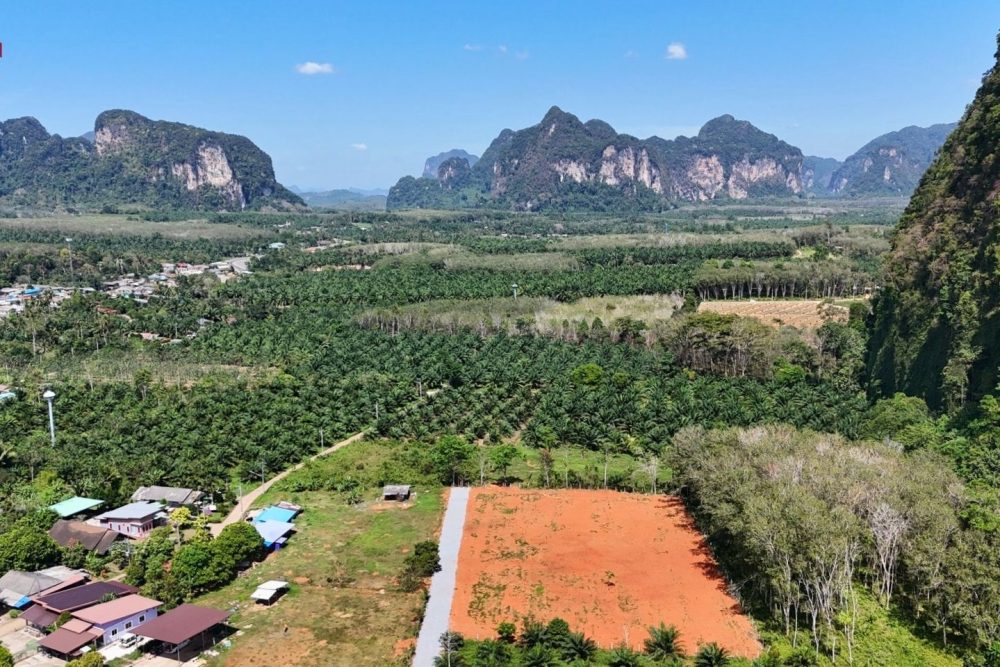 LINE_ALBUM_เขากลม 3 ไร่_260127_14