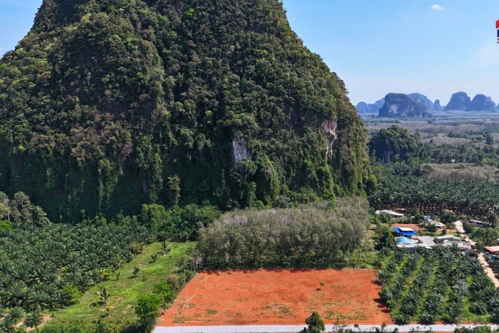 LINE_ALBUM_เขากลม 3 ไร่_260127_16