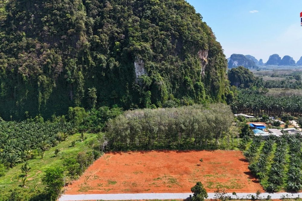 LINE_ALBUM_เขากลม 3 ไร่_260127_18