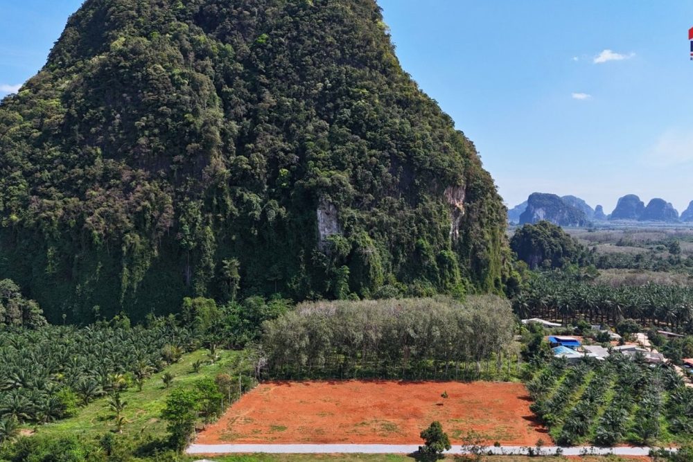 LINE_ALBUM_เขากลม 3 ไร่_260127_19