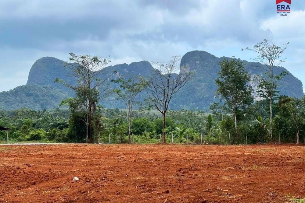 LINE_ALBUM_เขากลม 3 ไร่_260127_2