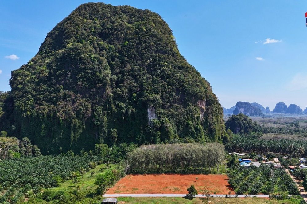 LINE_ALBUM_เขากลม 3 ไร่_260127_20