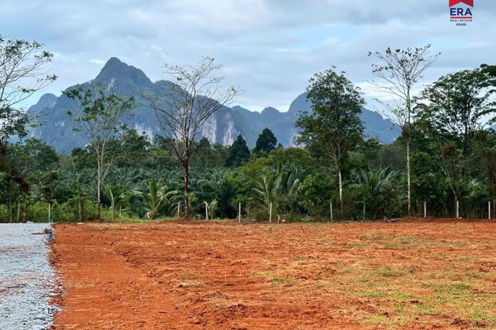 LINE_ALBUM_เขากลม 3 ไร่_260127_3