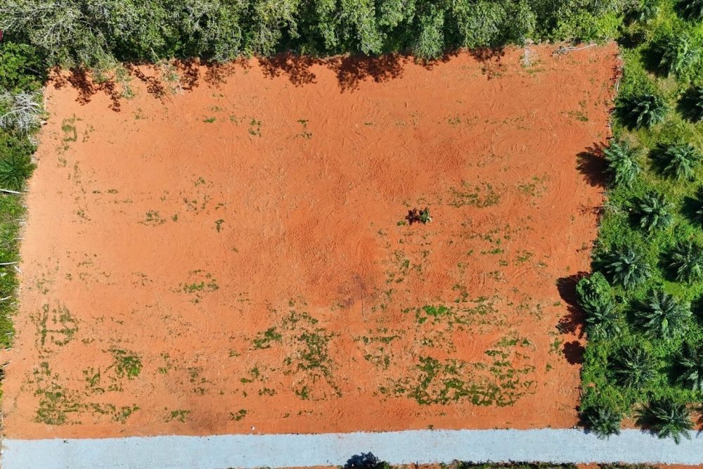 LINE_ALBUM_เขากลม 3 ไร่_260127_5