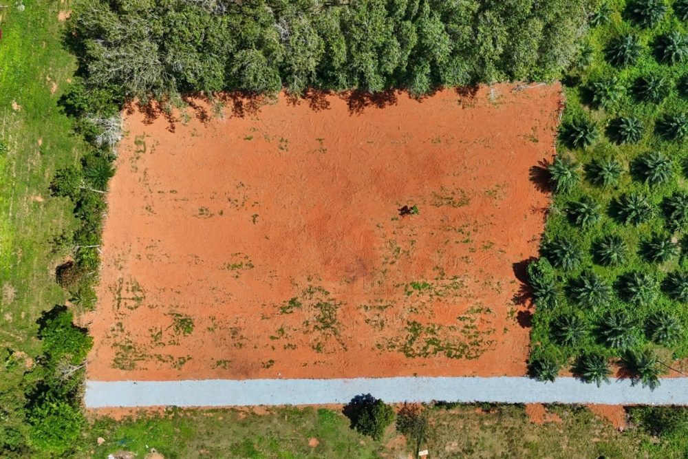 LINE_ALBUM_เขากลม 3 ไร่_260127_8